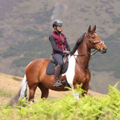 Aubrion by Shires Weste Original Fleece Maroon