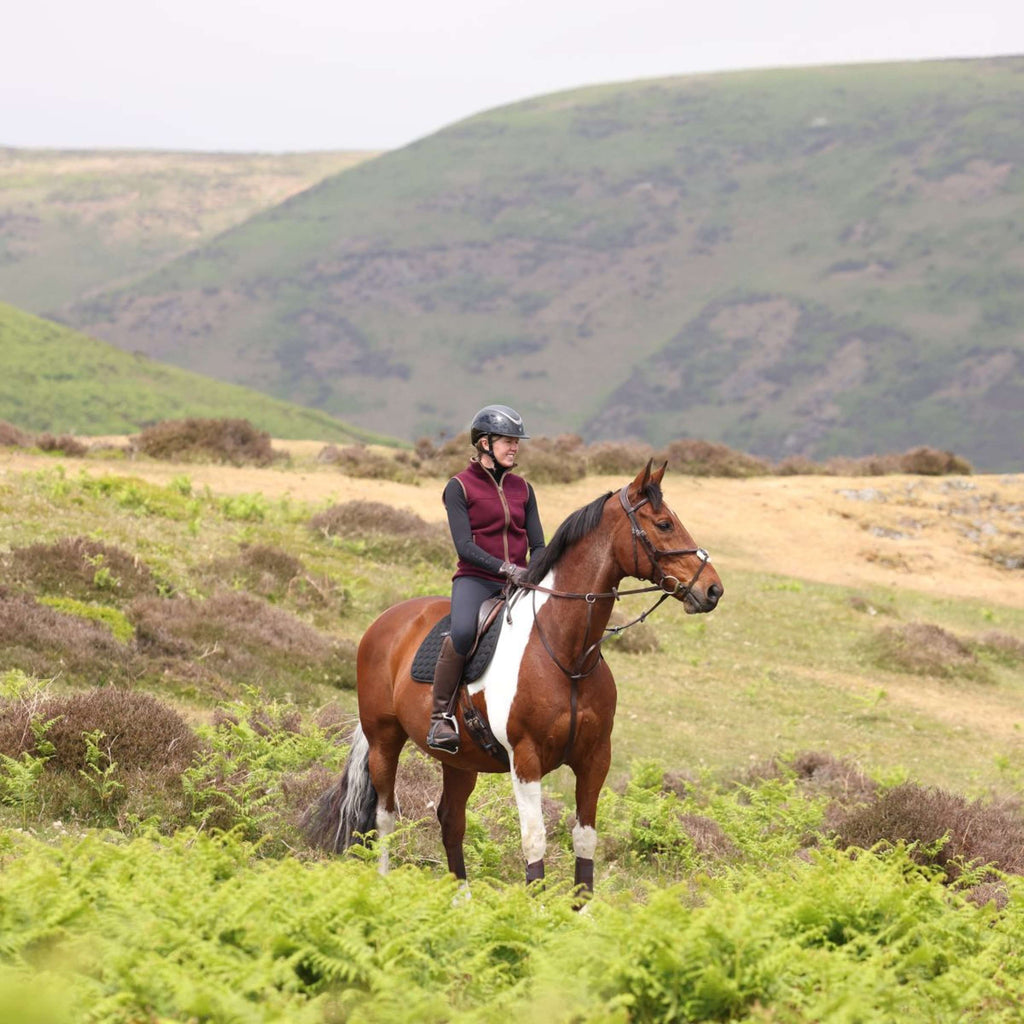 Aubrion by Shires Weste Original Fleece Maroon