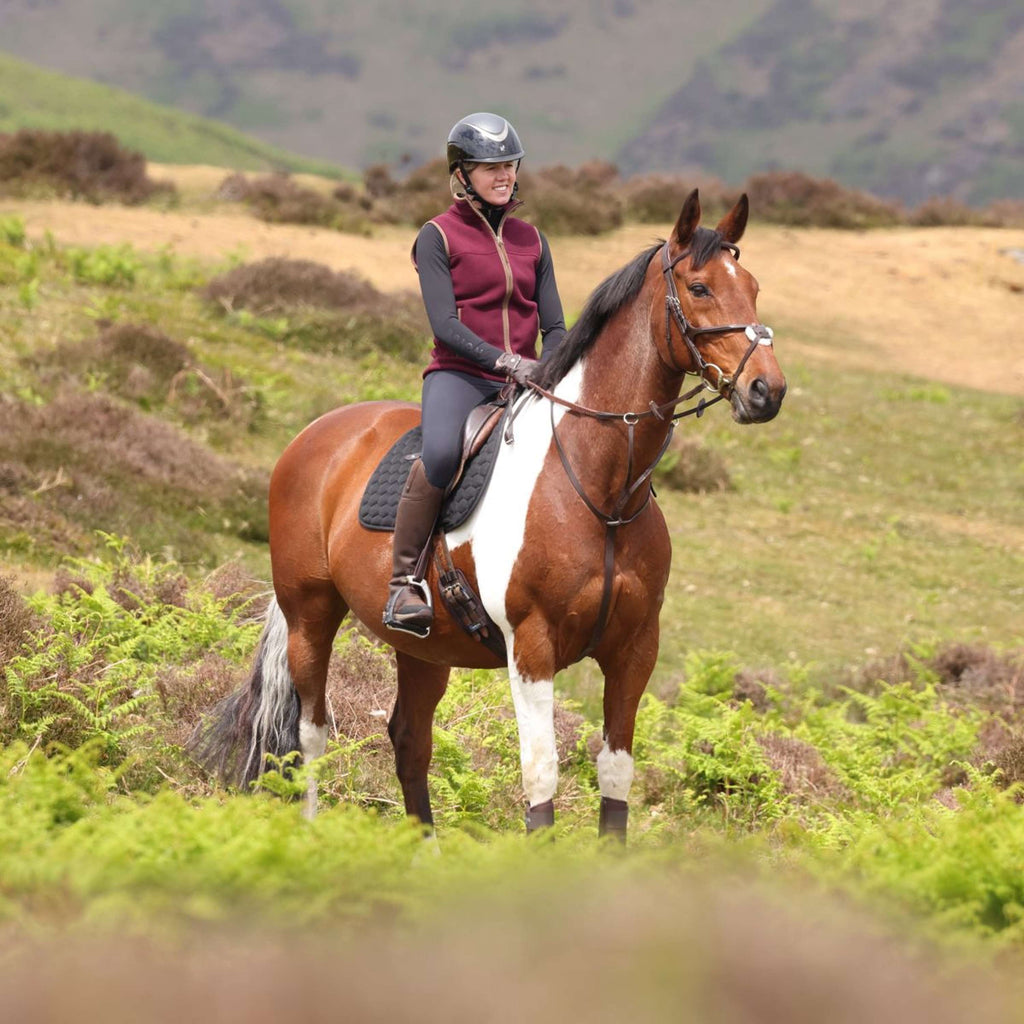 Aubrion by Shires Weste Original Fleece Maroon
