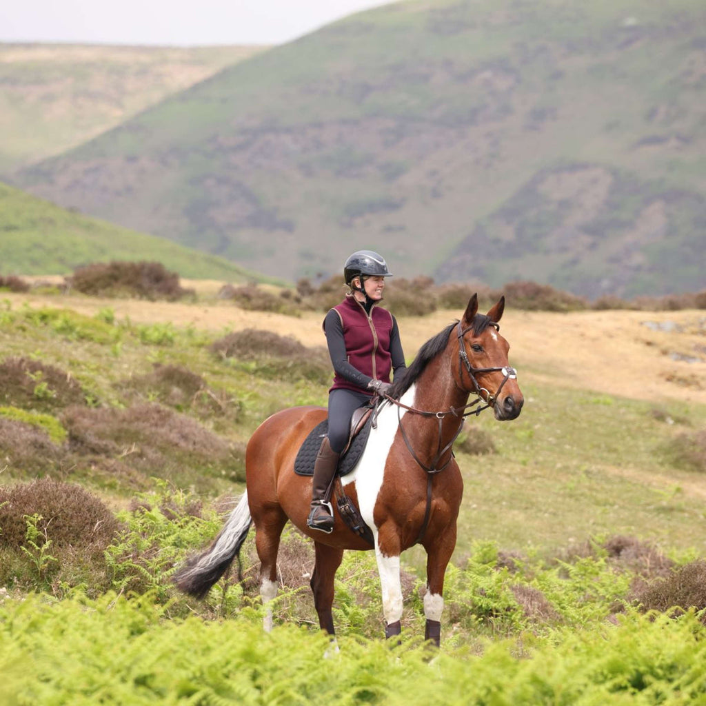 Aubrion by Shires Weste Original Fleece Maroon
