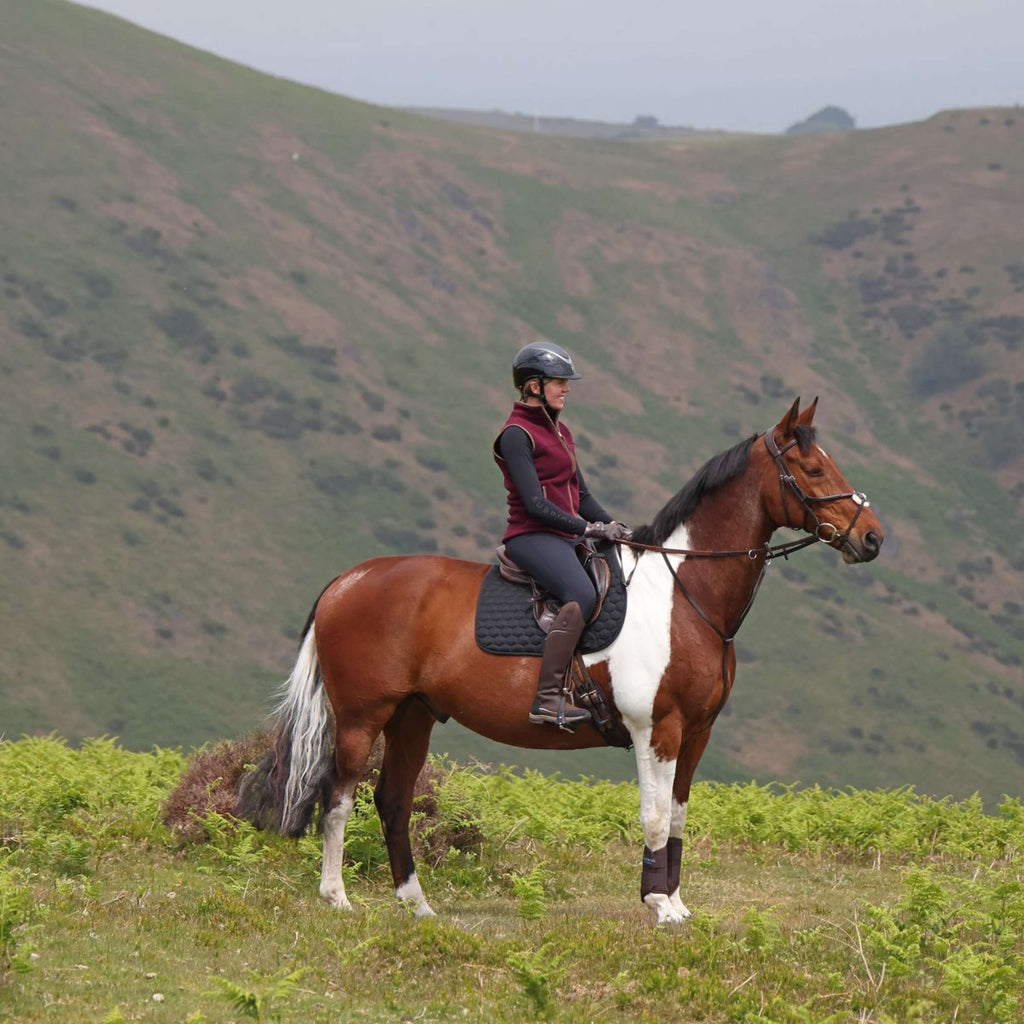 Aubrion by Shires Weste Original Fleece Maroon