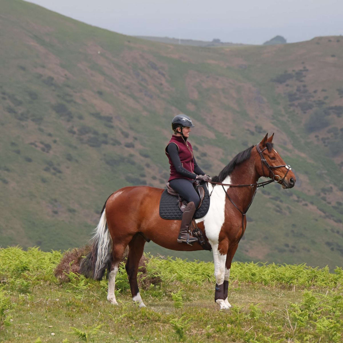 Aubrion by Shires Weste Original Fleece Maroon