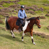 Aubrion by Shires Pullover Original Fleece Blau
