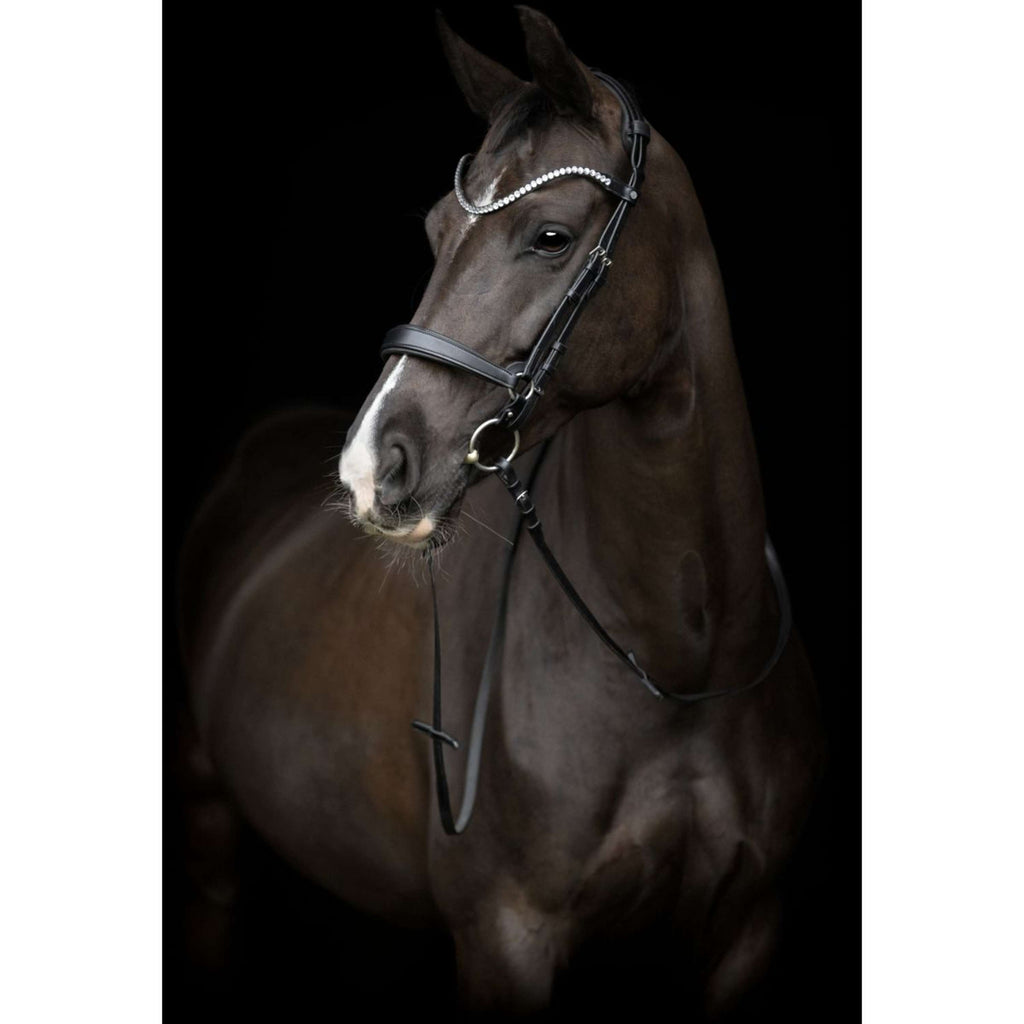 Catago Reithalfter Gentle Schwarz