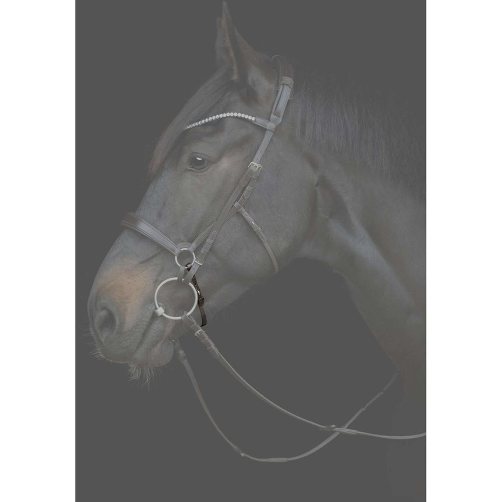 Catago Kinnriemen Gentle Braun