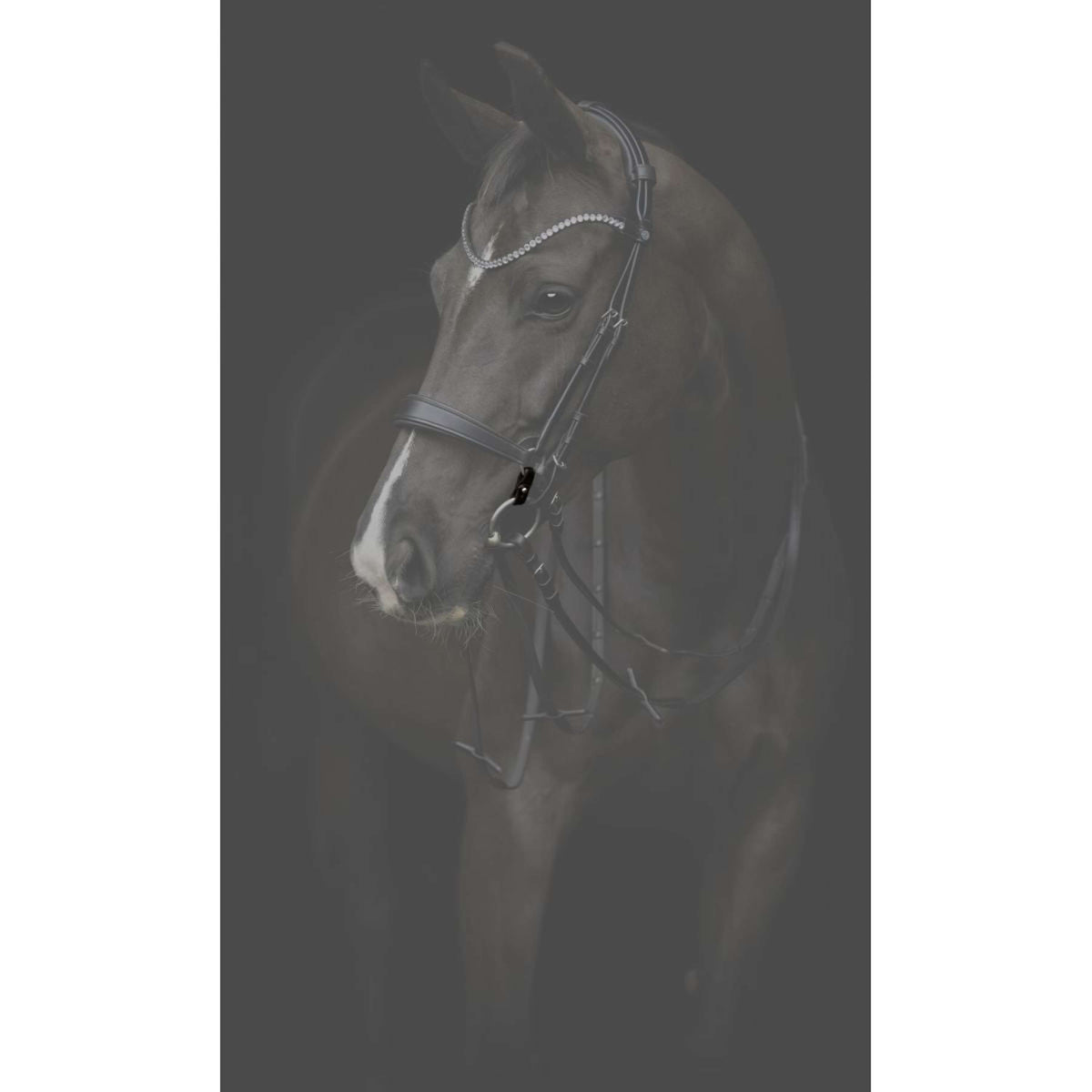 Catago Connecting Rings Gentle Schwarz