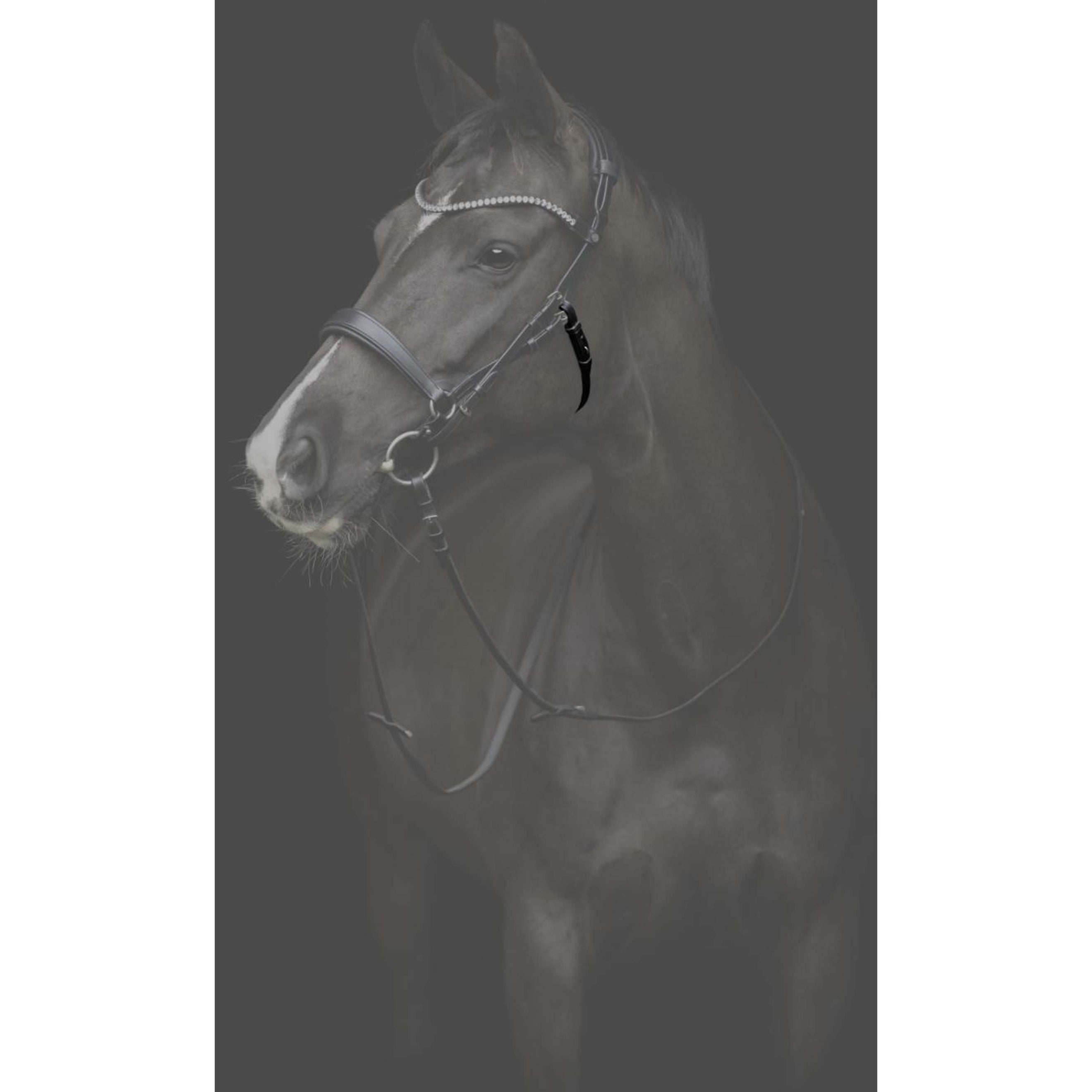 Catago Kehlriemen Gentle Schwarz