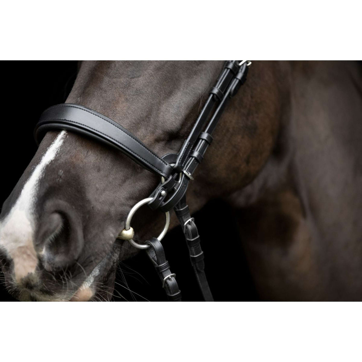 Catago Connecting Rings Gentle Schwarz