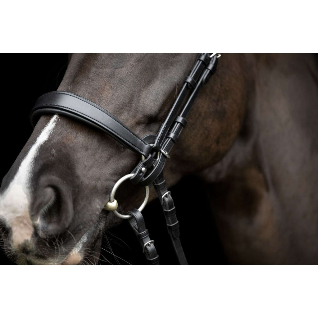 Catago Connecting Rings Gentle Braun
