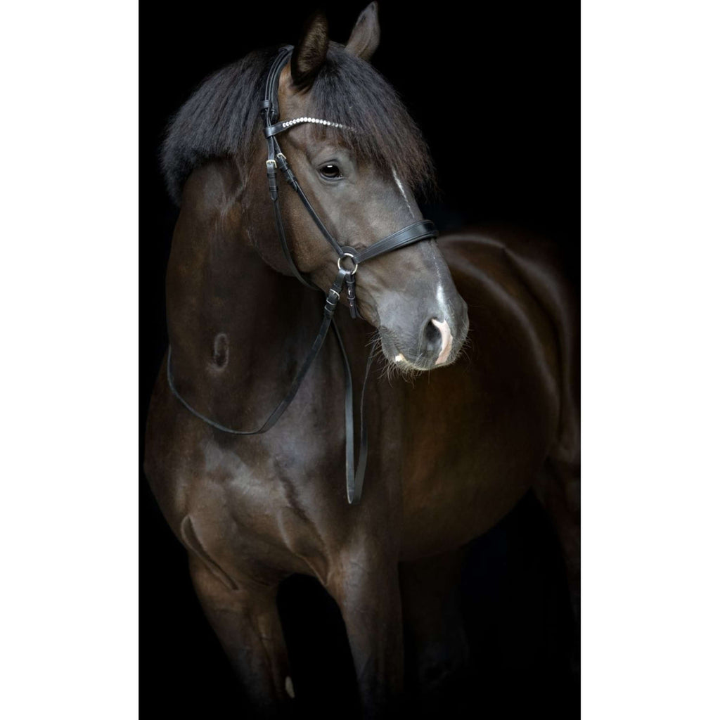 Catago Kinnriemen Gentle Schwarz