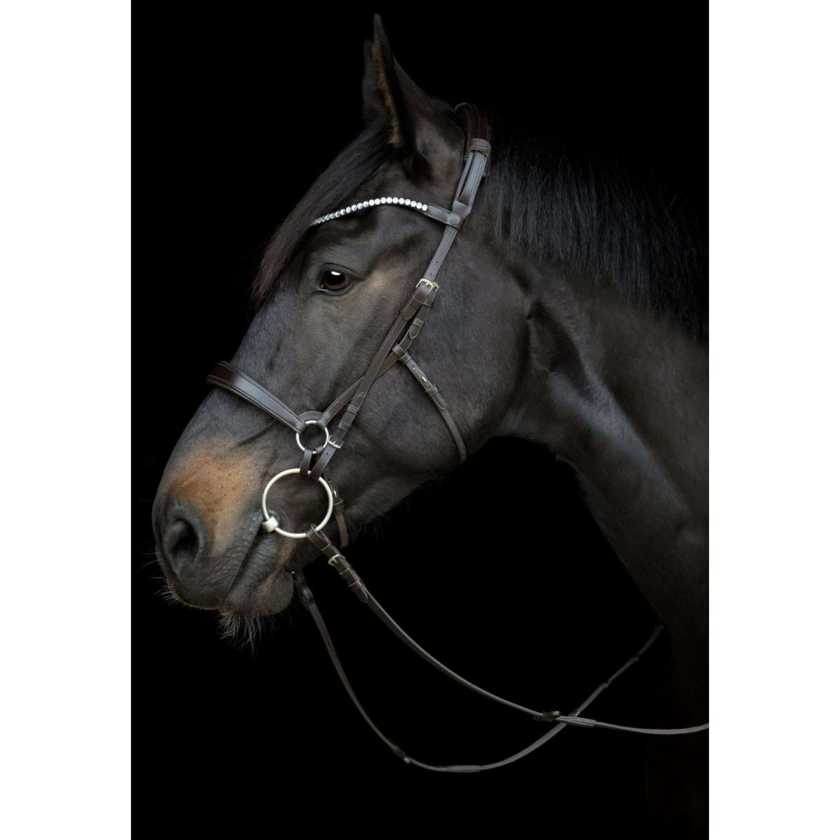 Catago Kehlriemen Gentle Schwarz