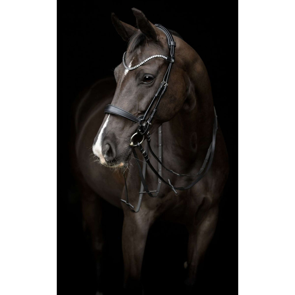 Catago Stirnriemen Gentle Schwarz