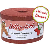 Animalixs Leckstein LollyLick Vitamin Booster Hagebutte