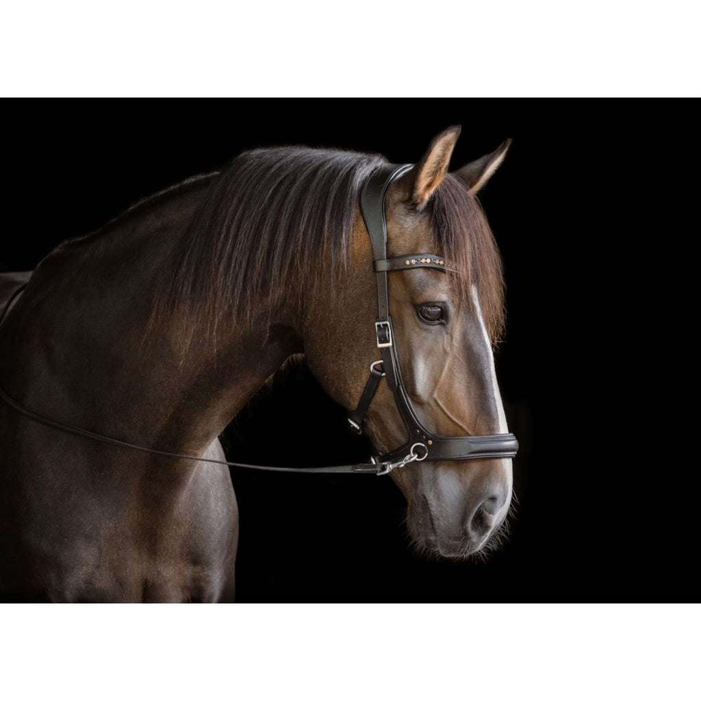 F.R.A. Gebisslose Trense Moonlight Schwarz