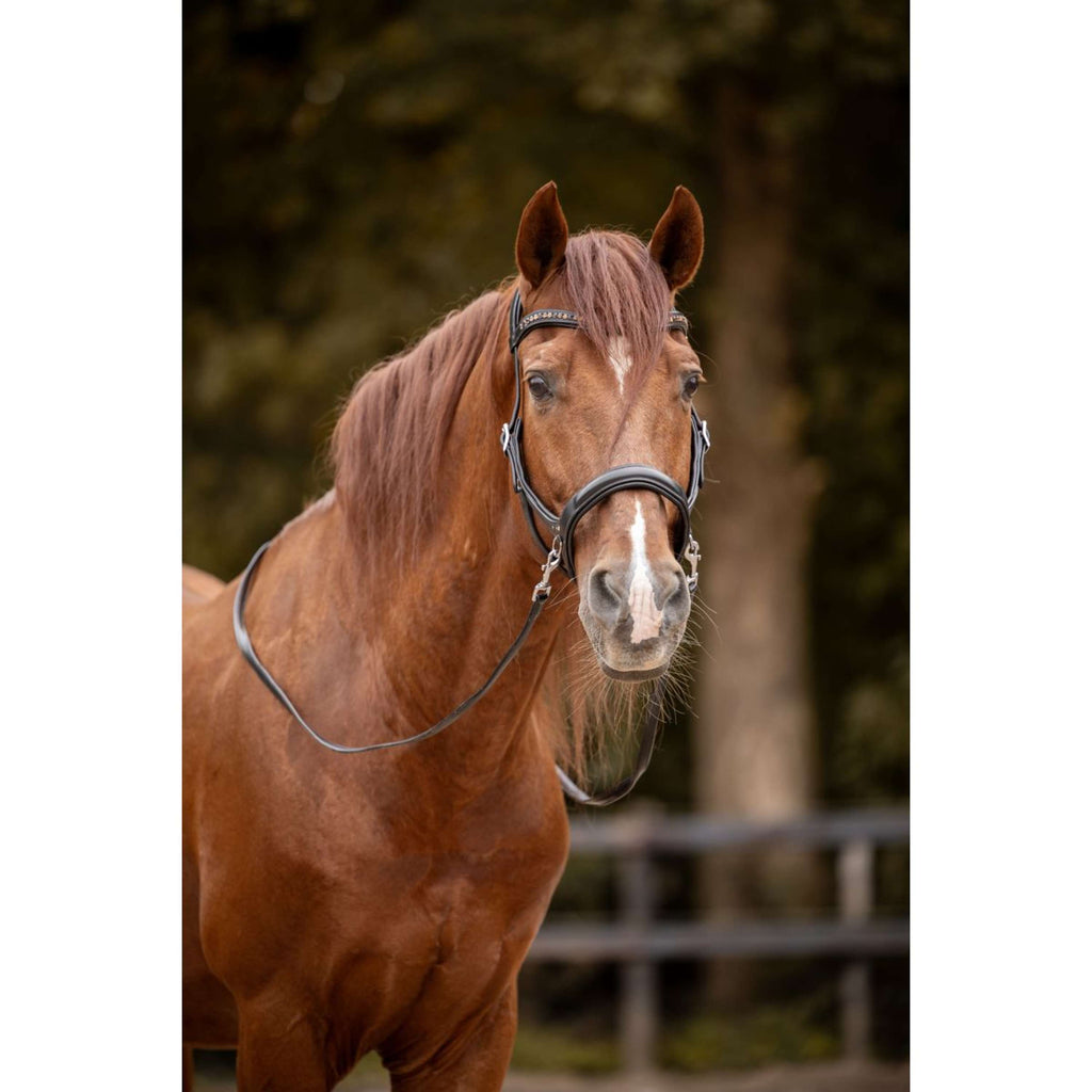 F.R.A. Gebisslose Trense Moonlight Schwarz