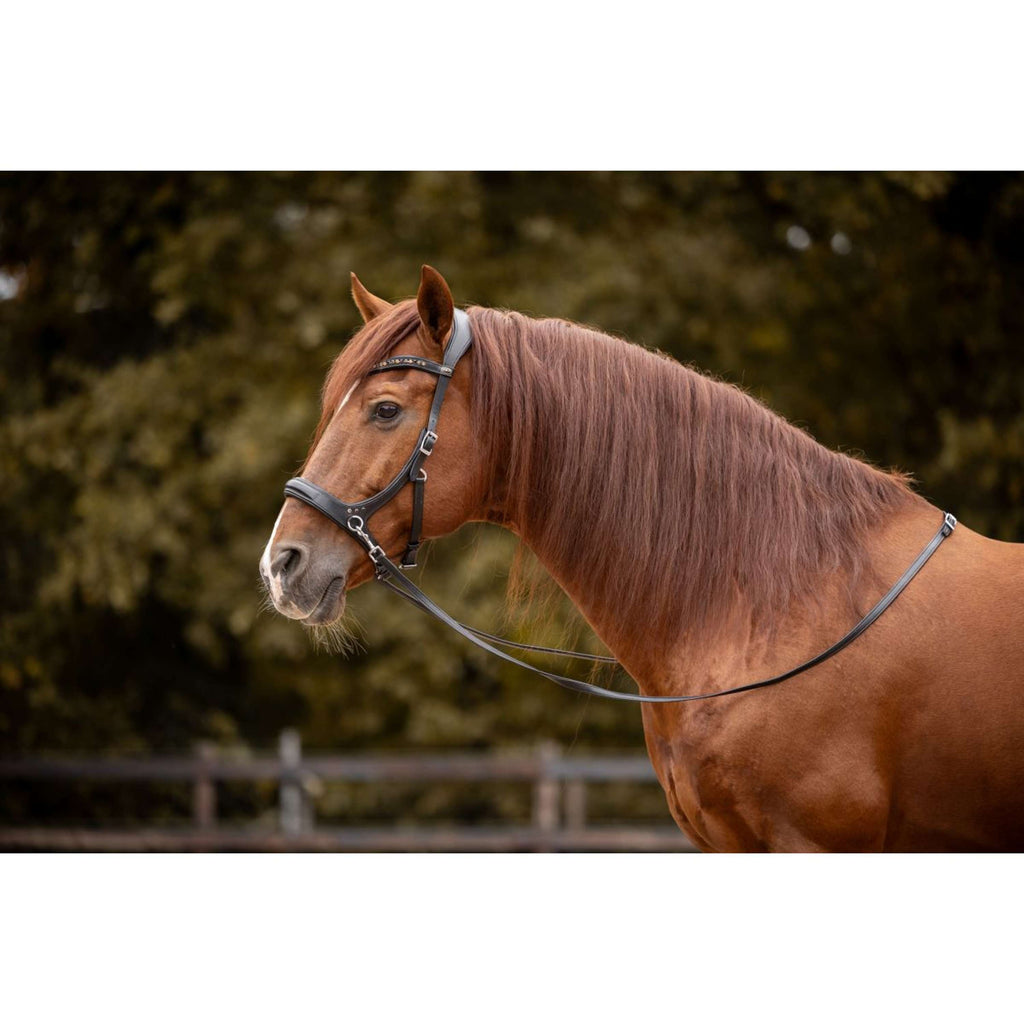 F.R.A. Gebisslose Trense Moonlight Schwarz