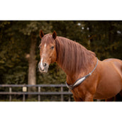 F.R.A. Gleichgewichtszügel Whisper Braun