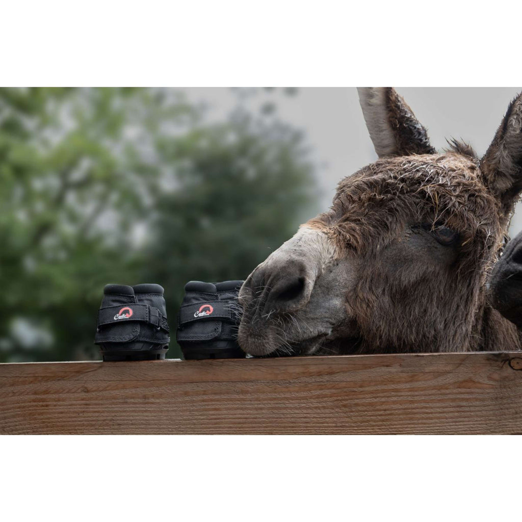 F.R.A. Cavallo Donkey/Long Ear Boot Schwarz
