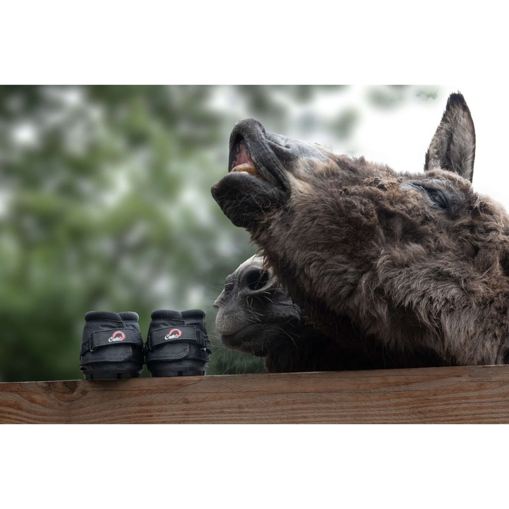 F.R.A. Cavallo Donkey/Long Ear Boot Schwarz