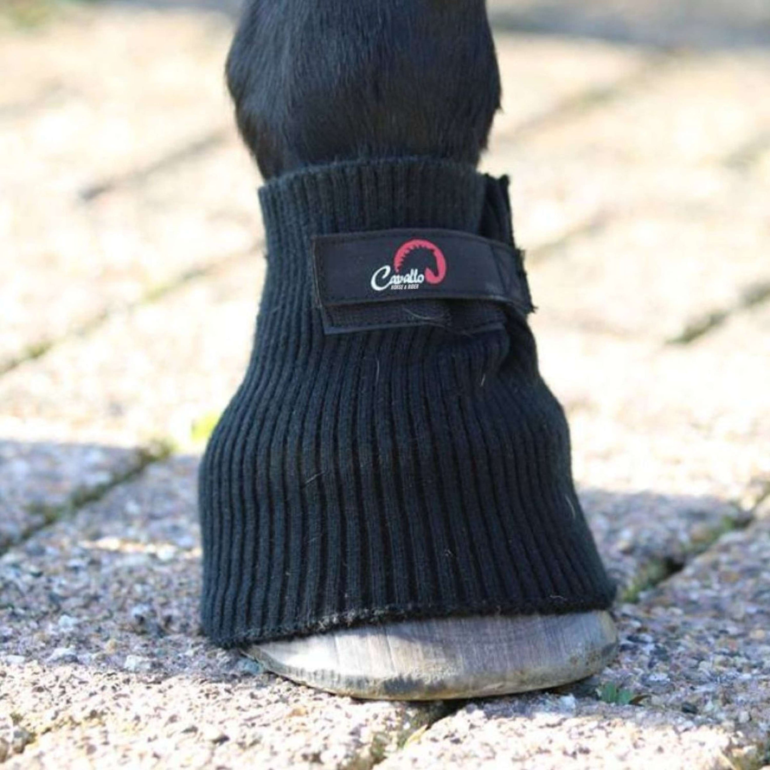 F.R.A. Cavallo Horse & Rider Comfort Sleeve Schwarz F.R.A. Cavallo Horse & Rider Comfort Sleeve Schwarz