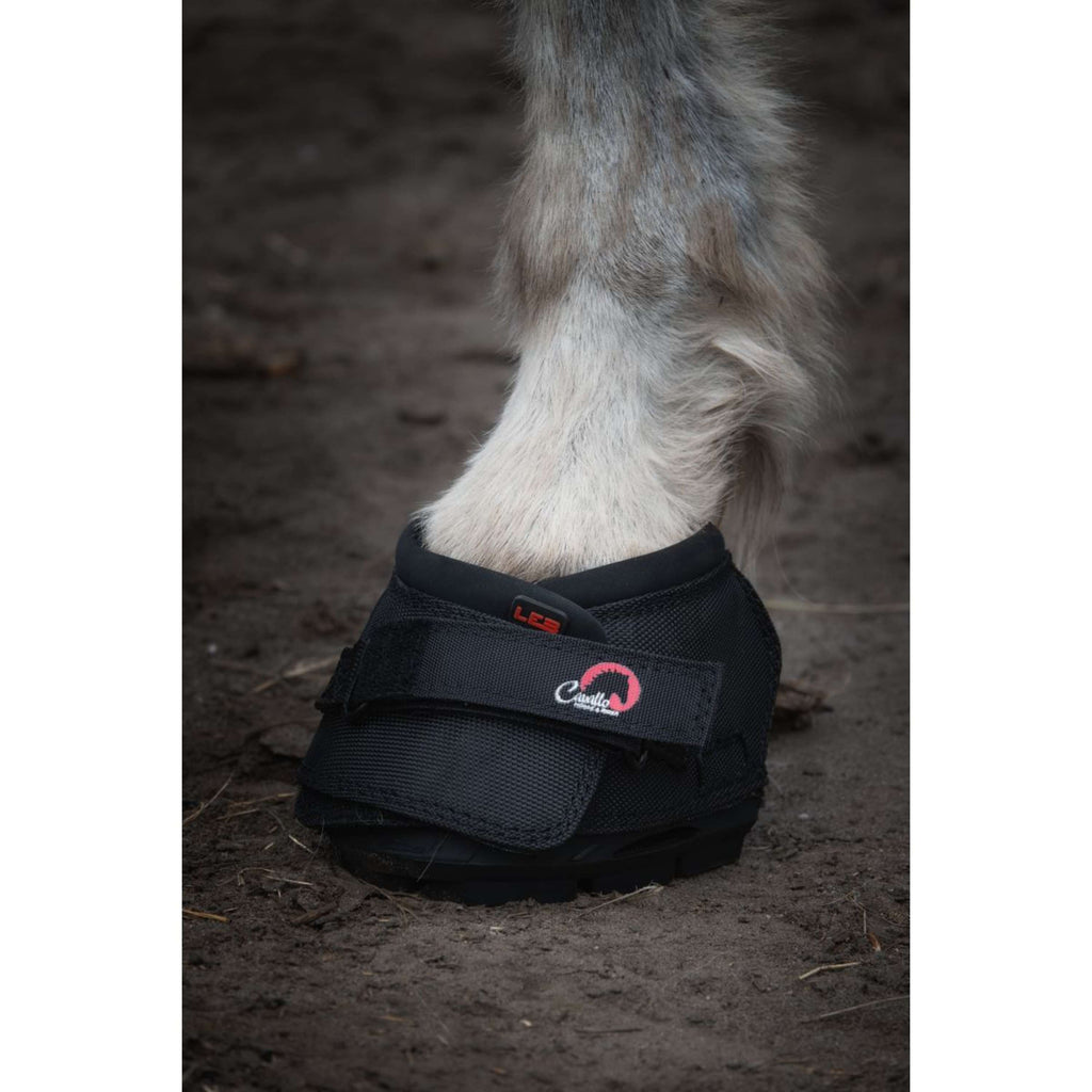 F.R.A. Cavallo Donkey/Long Ear Boot Schwarz