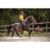 F.R.A. Bareback Pad Dardo Basic Bling Bling