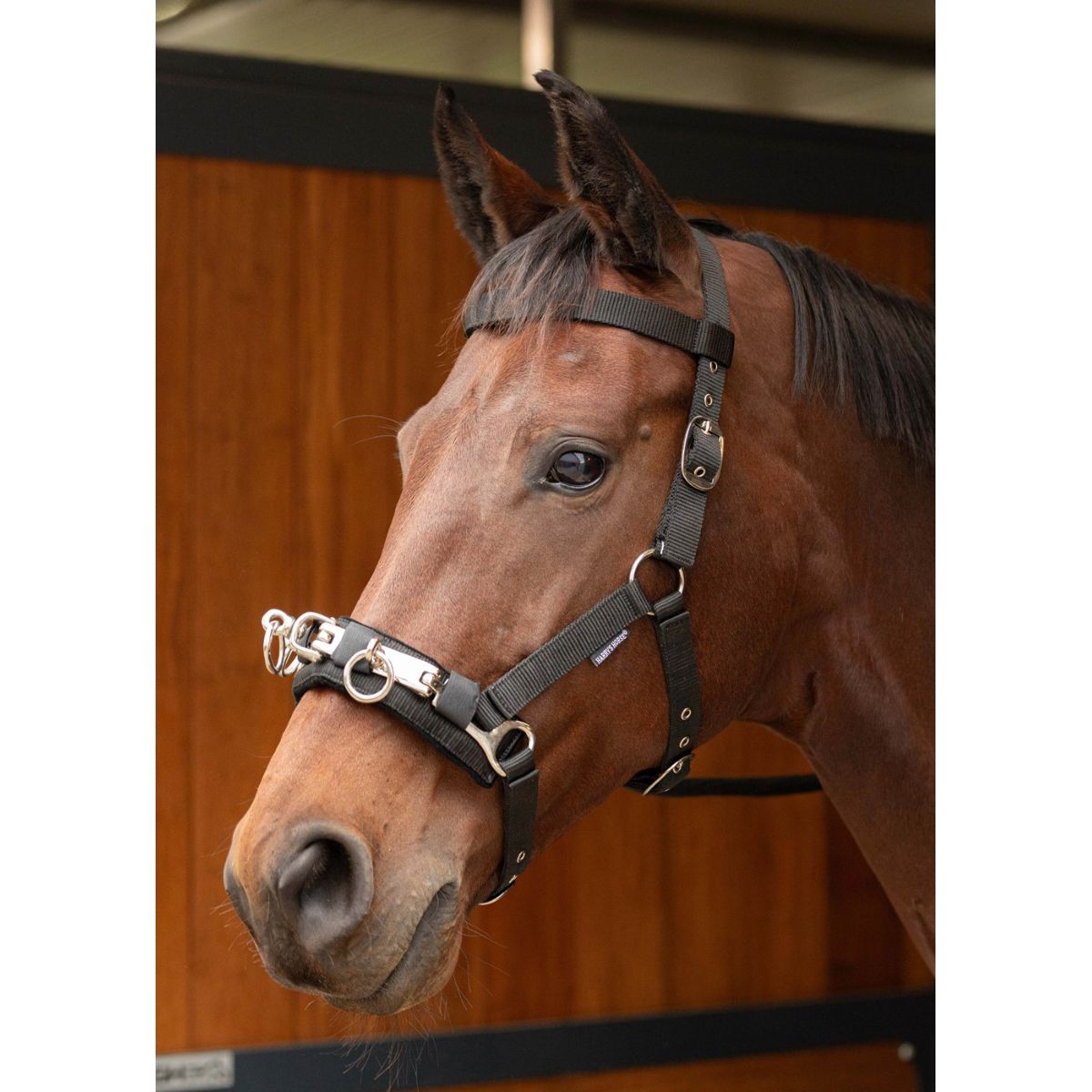 Harry's Horse Kappzaum Schwarz