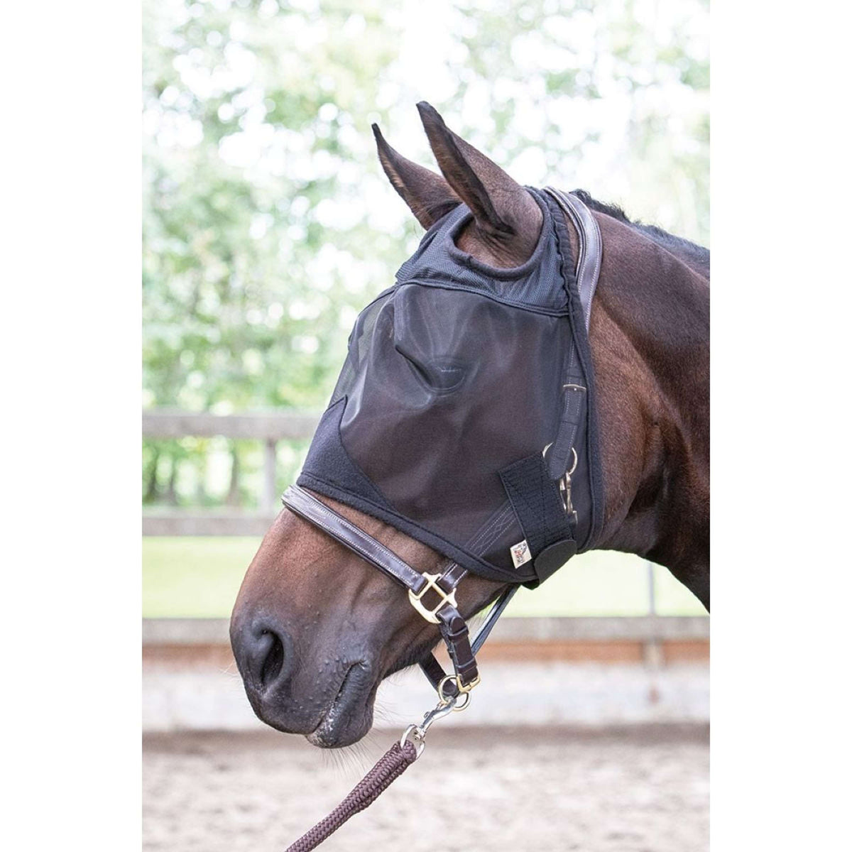 Harry's Horse Fliegenmaske Flyshield Ohne Ohren