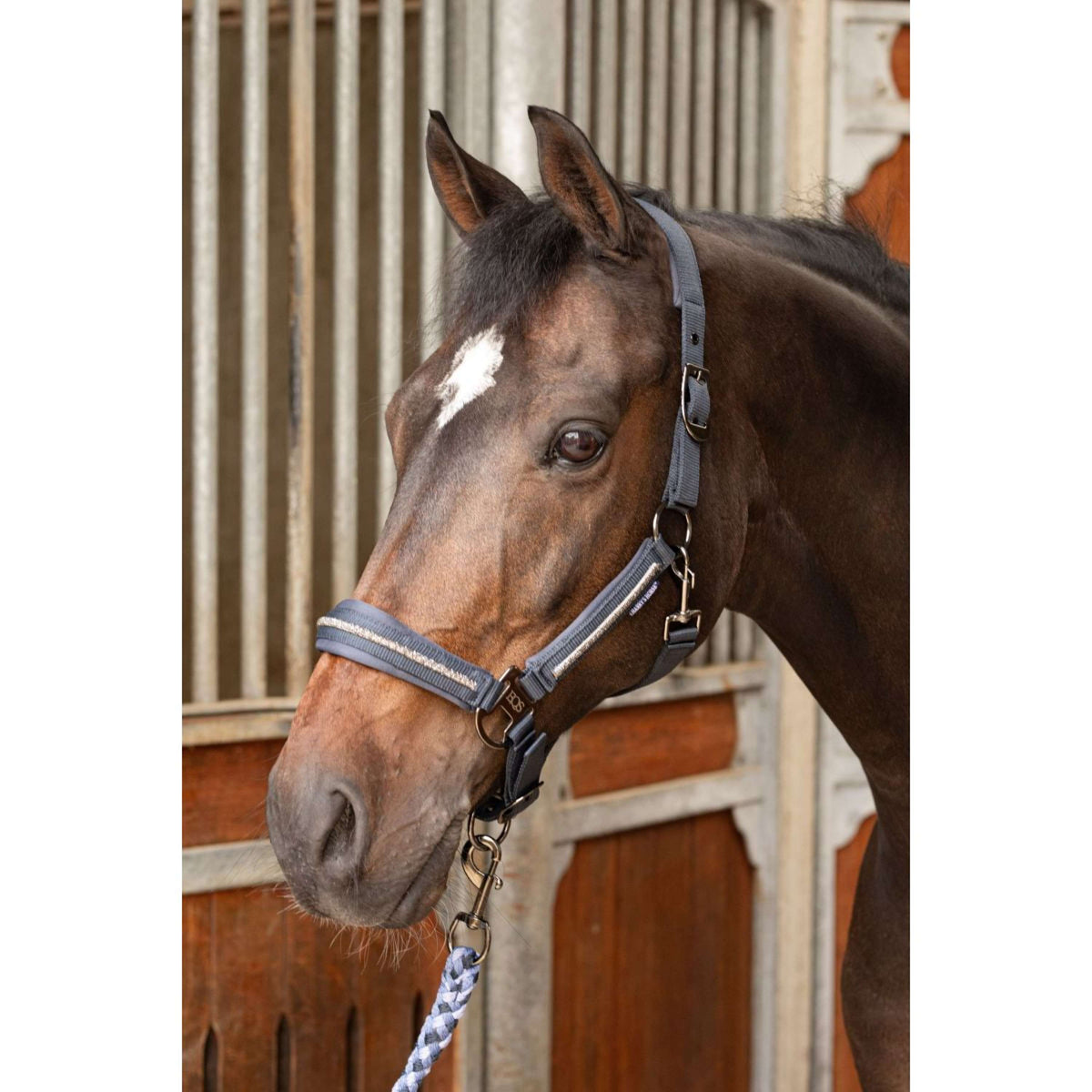 Harry's Horse Halfterset Valli Asphalt