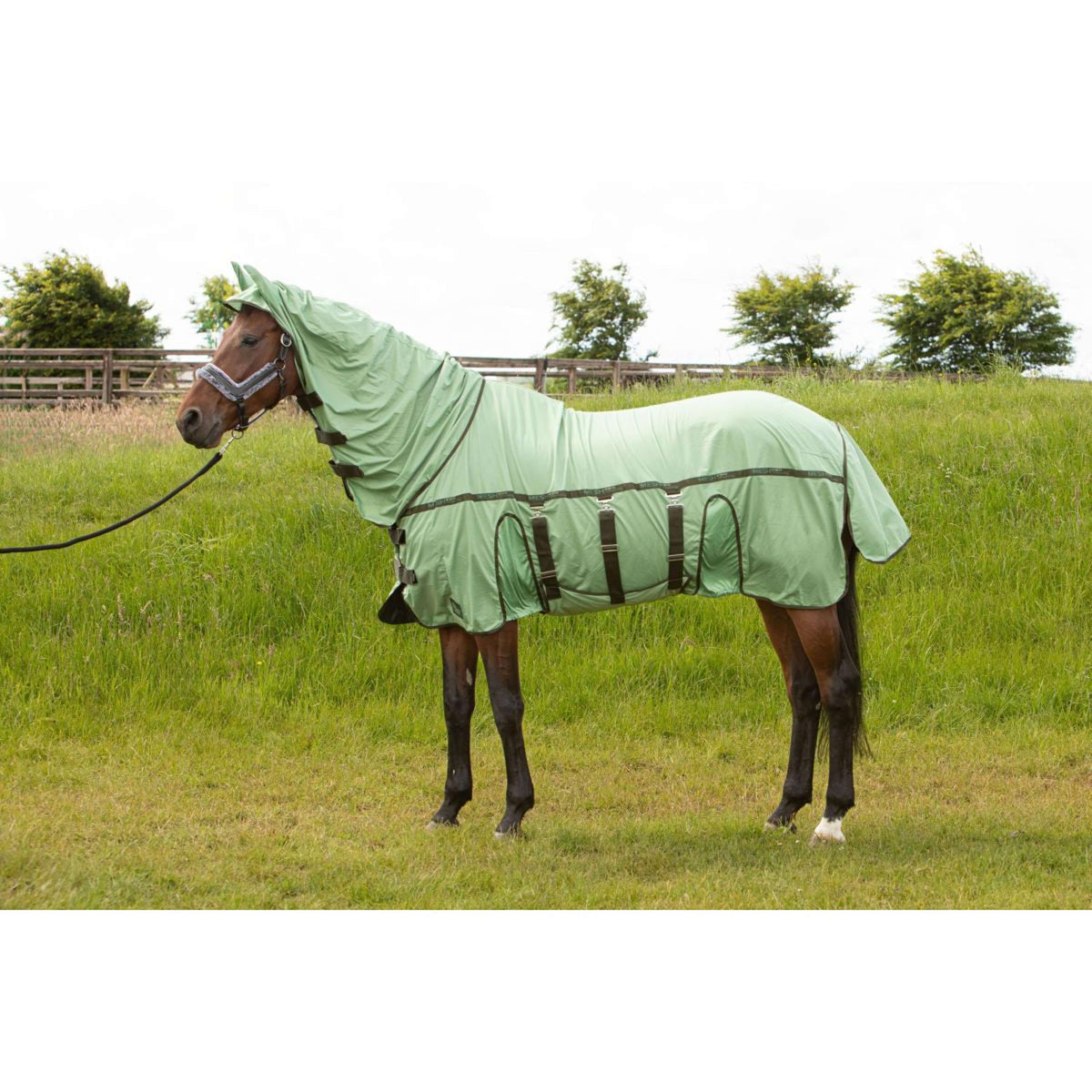 Harry's Horse Fliegendecke Mesh-Pro Belly Mistelzweig