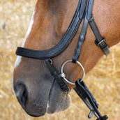 Harry's Horse Zaum Anatomic Black Crystal Schwarz