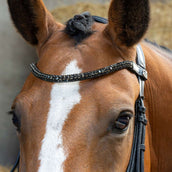 Harry's Horse Zaum Anatomic Black Crystal Schwarz