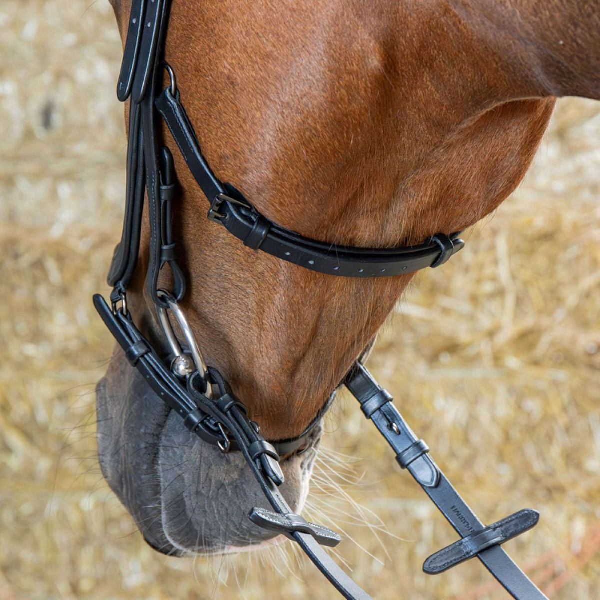 Harry's Horse Zaum Anatomic Black Crystal Schwarz