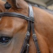 Harry's Horse Mexikanische Trense Anatomic Braun