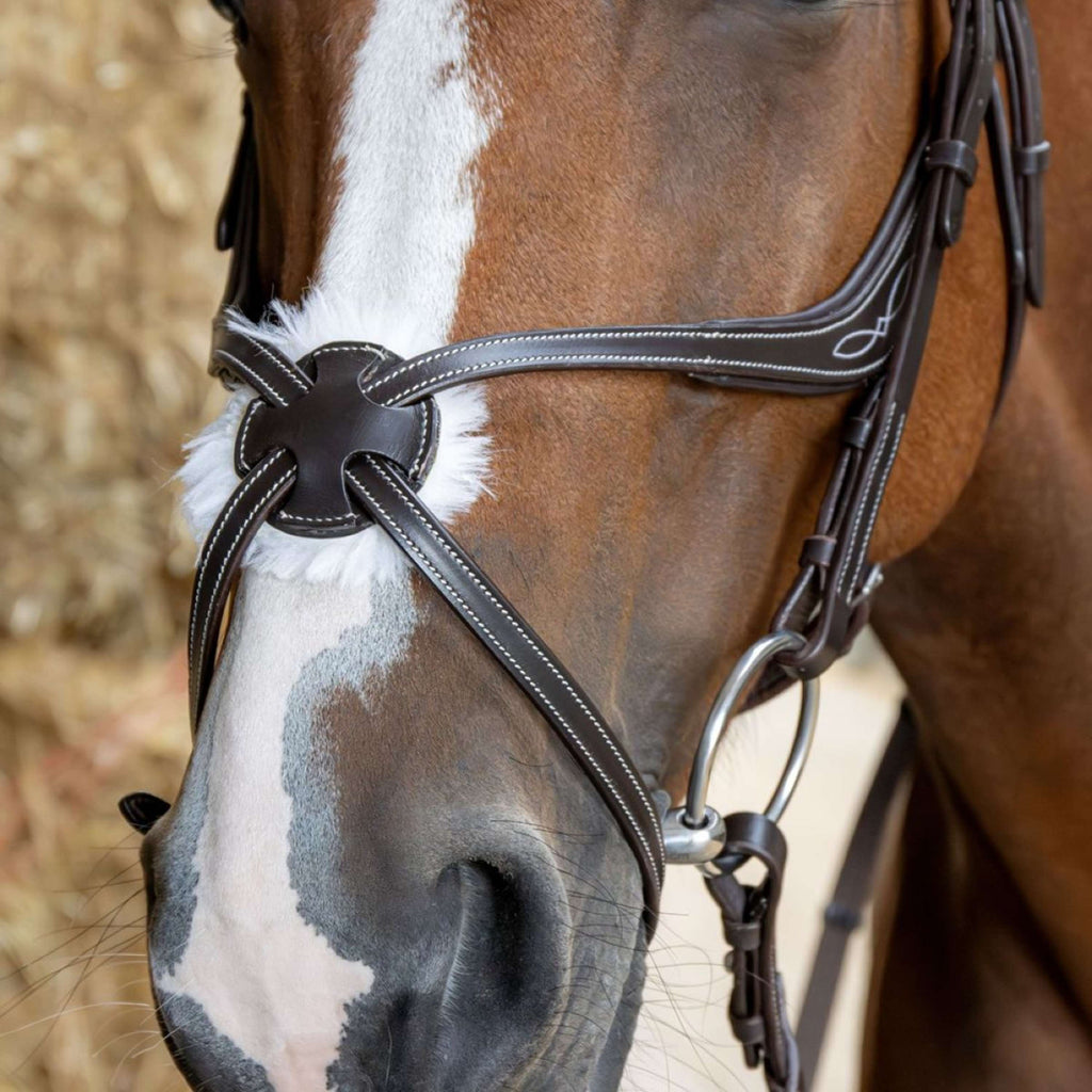 Harry's Horse Mexikanische Trense Anatomic Braun