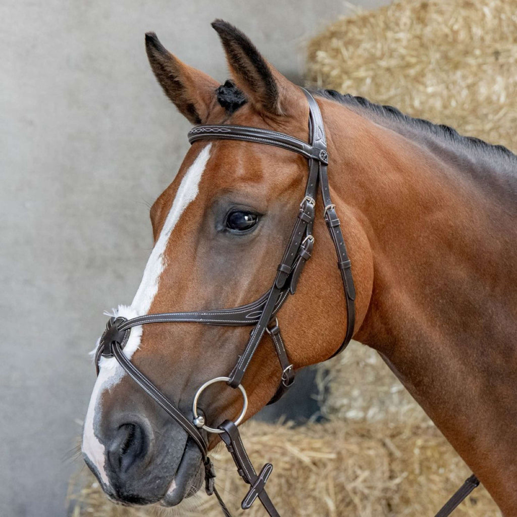 Harry's Horse Mexikanische Trense Anatomic Braun