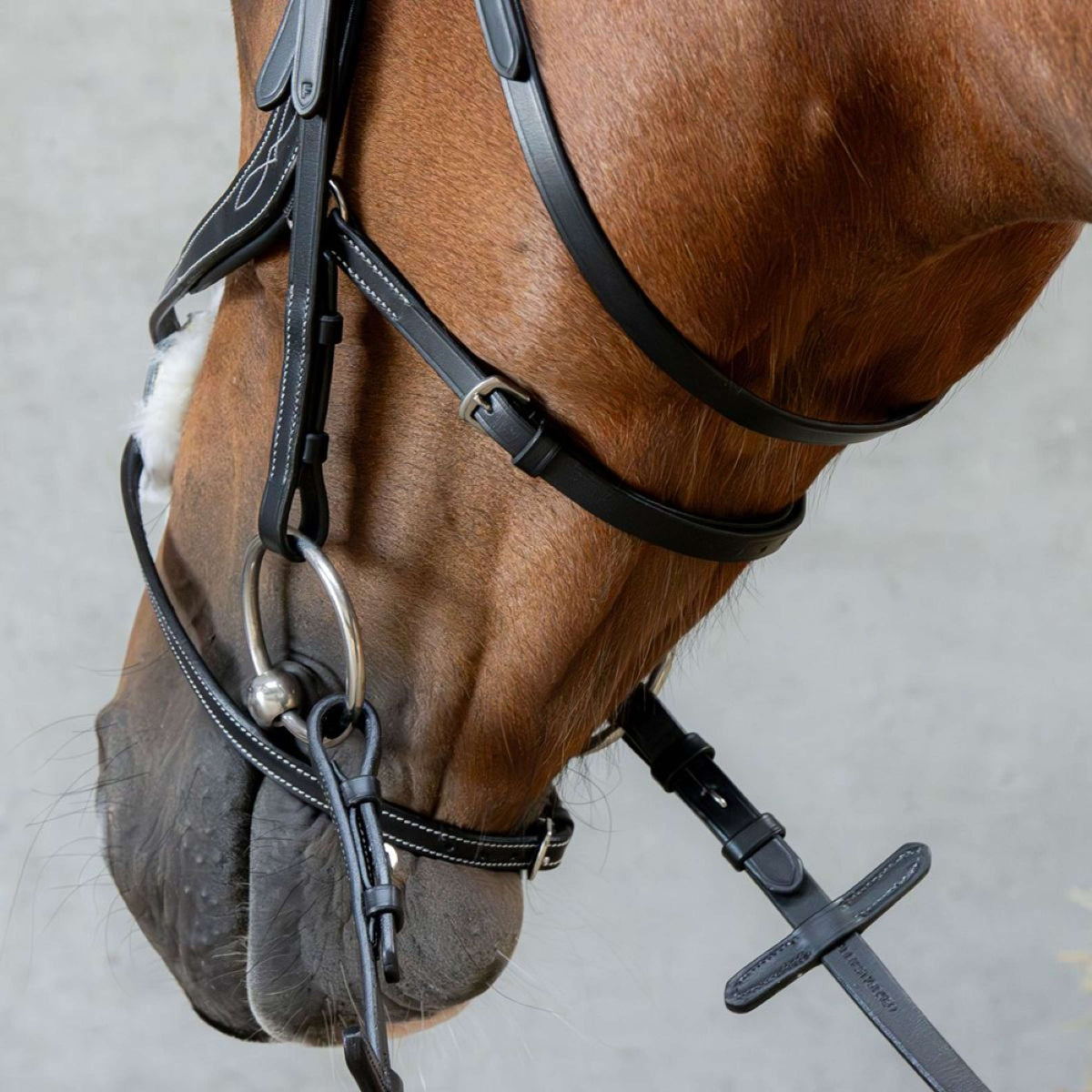 Harry's Horse Mexikanische Trense Anatomic Schwarz