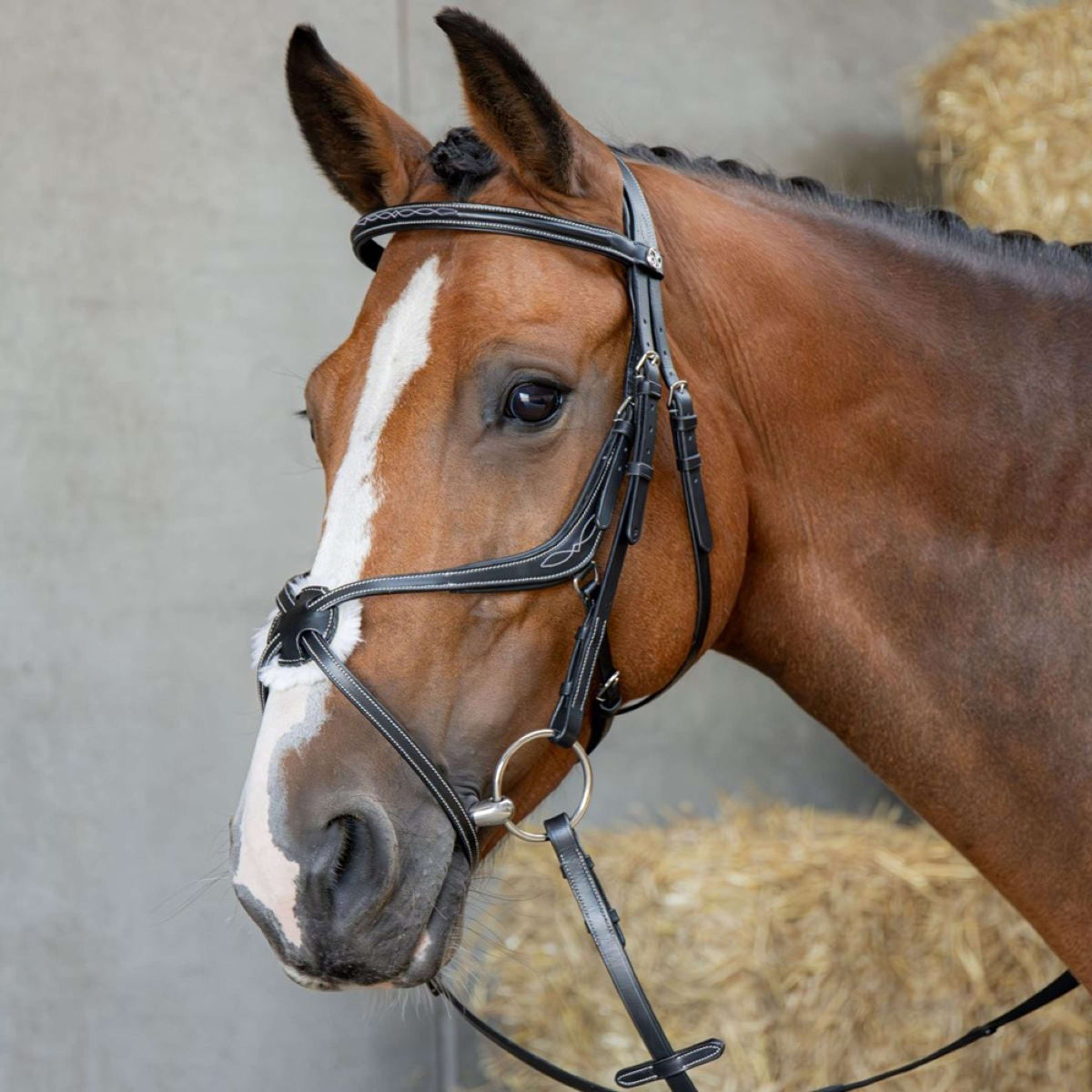 Harry's Horse Mexikanische Trense Anatomic Schwarz