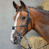 Harry's Horse Mexikanische Trense Anatomic Schwarz