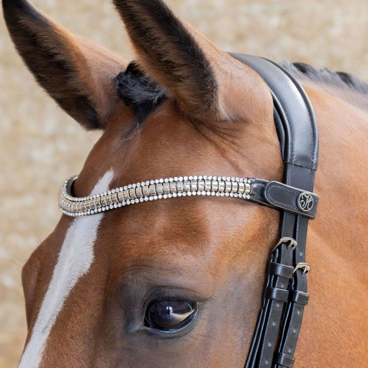 Harry's Horse Stirnriemen Clincher Silber