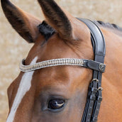 Harry's Horse Stirnriemen Clincher Silber