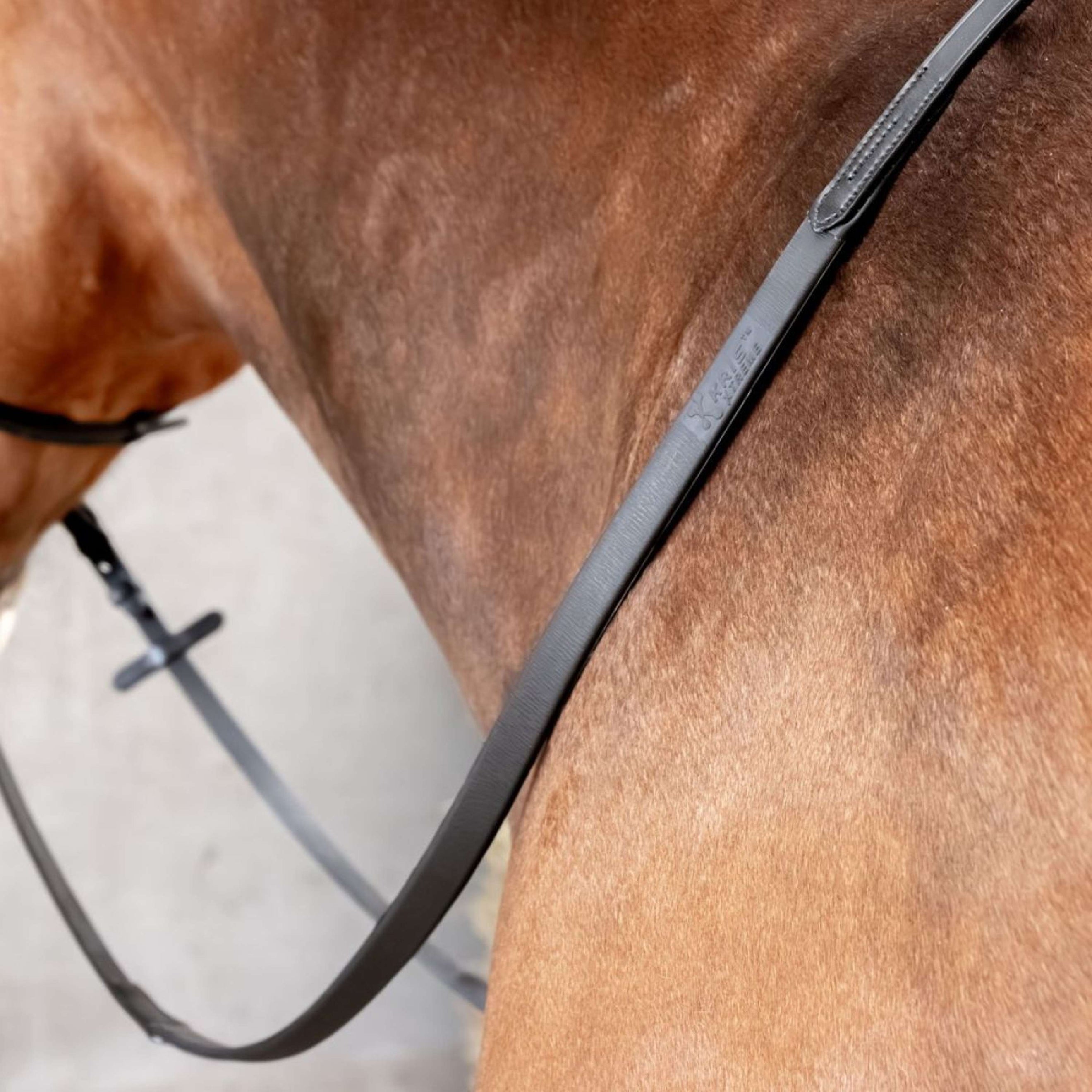 Harry's Horse Zügel Kris Xtreme Schwarz Harry's Horse Zügel Kris Xtreme Schwarz