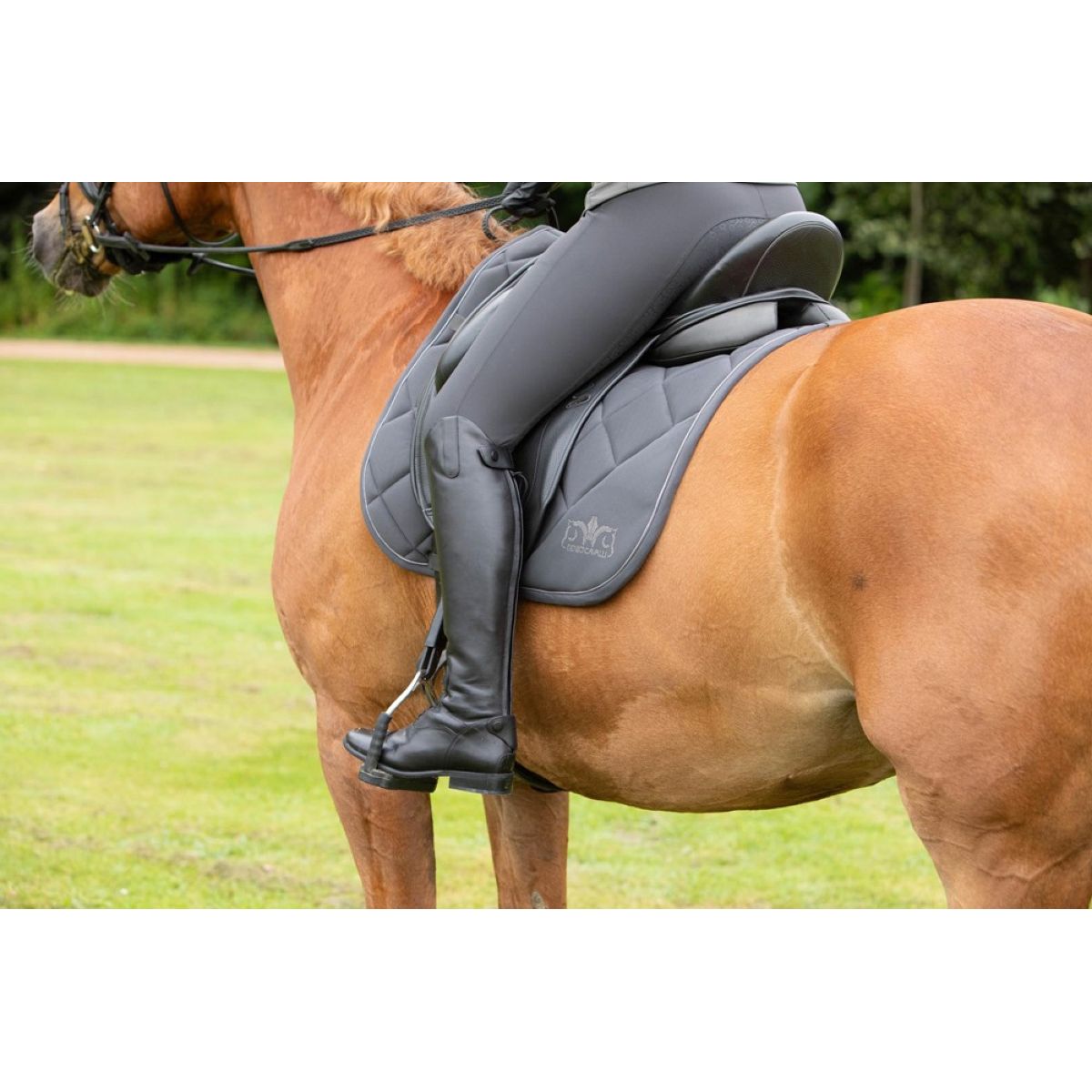 Harry's Horse Schabracke Denici Cavalli Shadow Dressur Schwarz/Sand