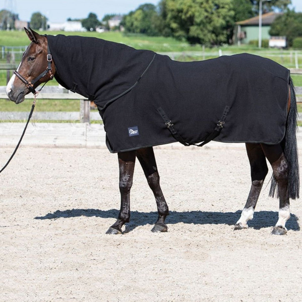 Harry's Horse Fleecedecke mit Aufrollbarem Hals Schwarz