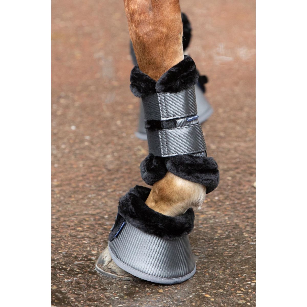 Harry's Horse Gamaschen Denici Cavalli Shadow Schwarz/Sand