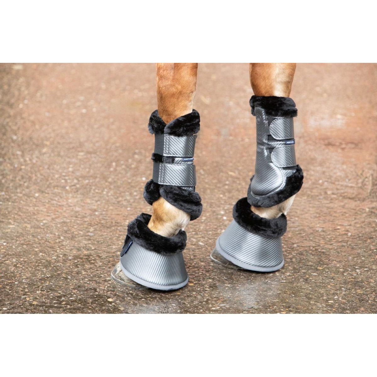 Harry's Horse Hufglocken Denici Cavalli Shadow Schwarz/Sand