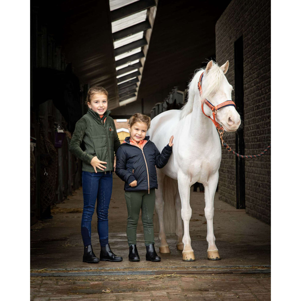 Harry's Horse Jacke LouLou Dark Navy