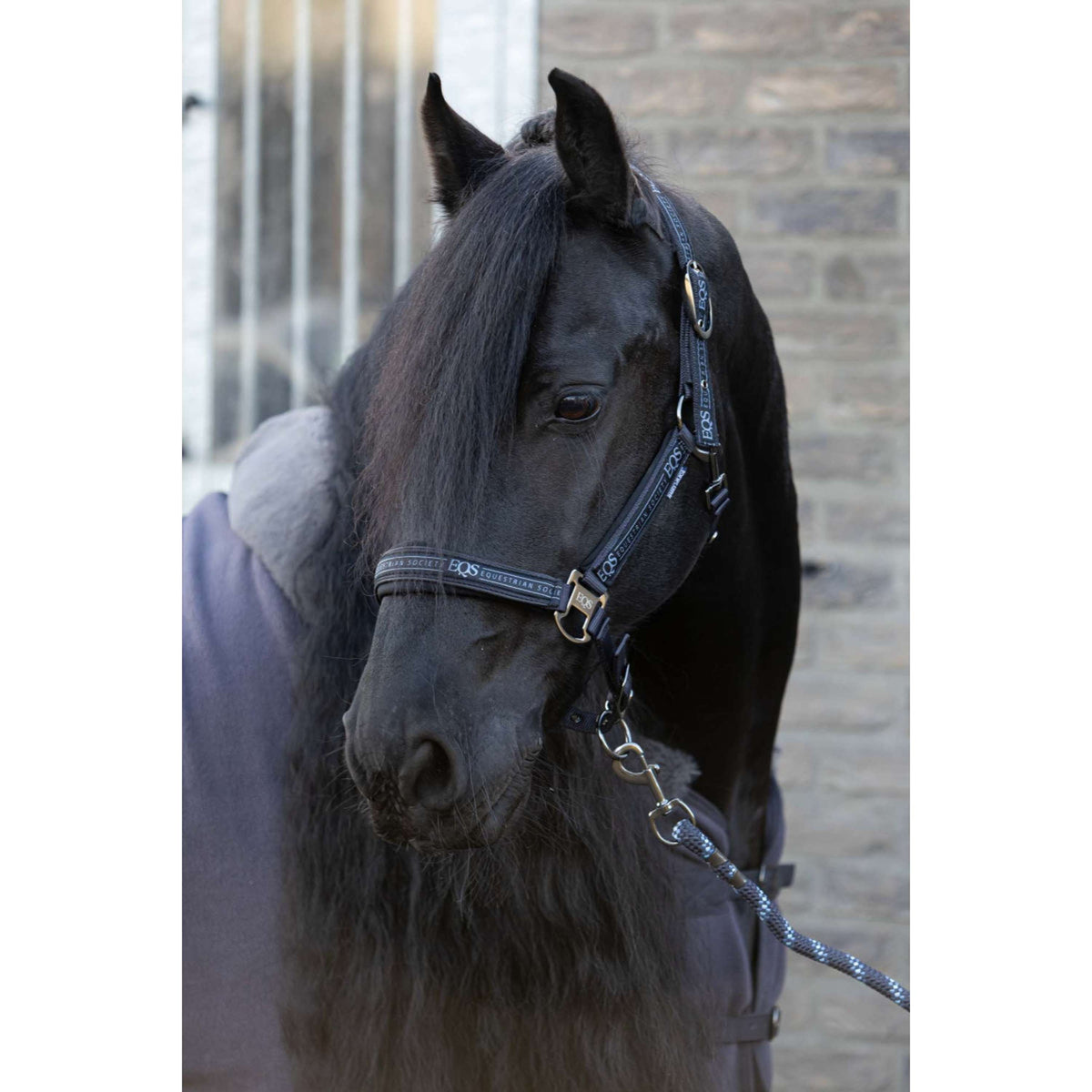 Harry's Horse Halfterset EQS Black-Sand