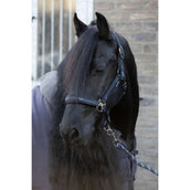 Harry's Horse Halfterset EQS Black-Sand