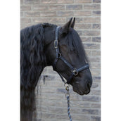 Harry's Horse Halfterset EQS Black-Sand